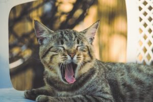 年末年始のお知らせ