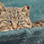 営業時間変更のお知らせ