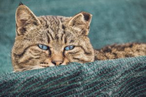 営業時間変更のお知らせ