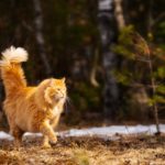 2020年4月のカレンダーを追加しました