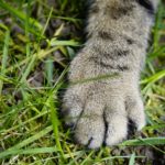 福島観光物産館への出展『春日和特集』