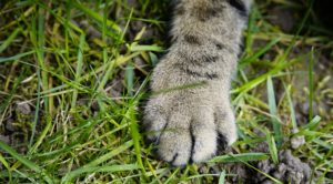 福島観光物産館への出展『春日和特集』