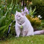 福島観光物産館への出展『5/30・5/31』『6/6・6/7』