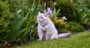 福島観光物産館への出展『5/30・5/31』『6/6・6/7』