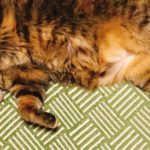 オーナーシェフからのご挨拶【年始[2021]】