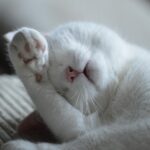 賞味期限入力ミスについてのお詫び