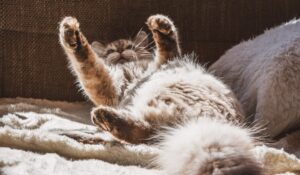 2023年営業開始日(1月4日)変更のお知らせ