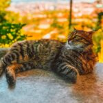 2025年1月のカレンダーを追加しました